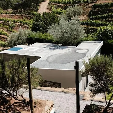 Babhouse Jardim Oliveiras