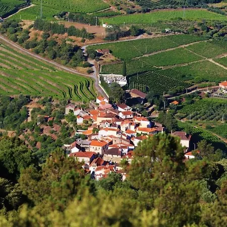 Babhouse Jardim Oliveiras *