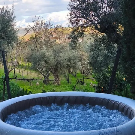 Babhouse Jardim Oliveiras Nagoselo do Douro