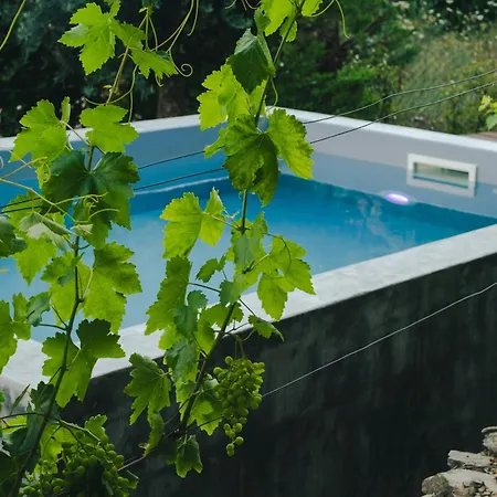 Holiday home Babhouse Jardim Oliveiras Nagoselo do Douro