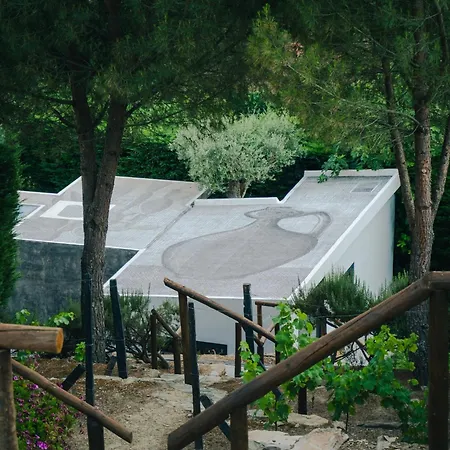 Babhouse Jardim Oliveiras Holiday home Nagoselo do Douro