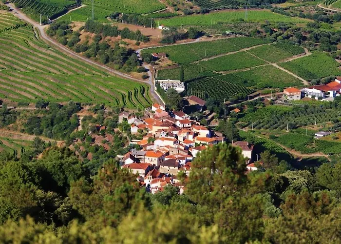 Babhouse Jardim Oliveiras *