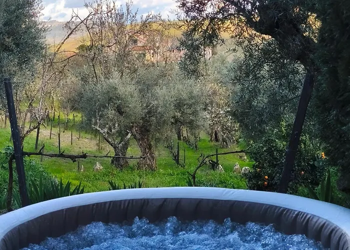 Babhouse Jardim Oliveiras Nagoselo do Douro